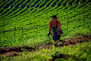 BIB: 
                            <button type="button" onclick="openModal(19160939)" class="btn btn-primary btn-sm float-right btn-popup" data-toggle="modal" data-target=".modal-high-quality">
                        <i class="fas fa-shopping-cart"></i> Add to Cart
                    </button>
                                            <button type="button" onclick="isThisMe(19160939, true)" class="btn btn-success btn-sm float-right btn-popup btn-isme hidden" data-toggle="tooltip" data-placement="bottom" title="นี่คือรูปของคุณใช่ไหม คลิกที่นี่เพื่อเอาเข้าอัลบั้ม">
                        <i class="fas fa-plus"></i> Add to album
                    </button>
                    <button type="button" onclick="isThisMe(19160939, false)" class="btn btn-warning btn-sm float-right btn-popup btn-isnotme hidden">
                        <i class="fas fa-ban"></i> Remove from album
                    </button>